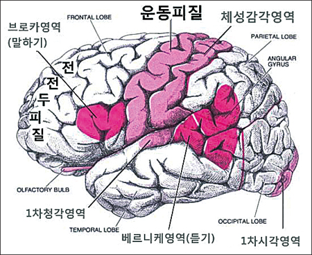 ‘생각(念力)의 힘’으로 가상 떠올리는 수행