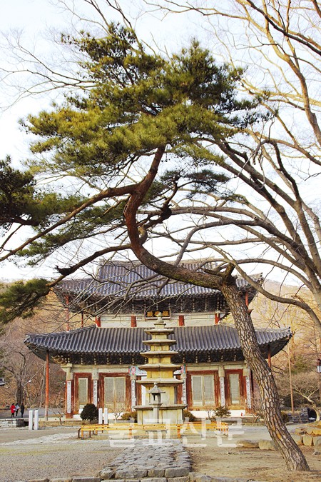 “부여 무량사, 제가 나고 자란 고향집입니다”