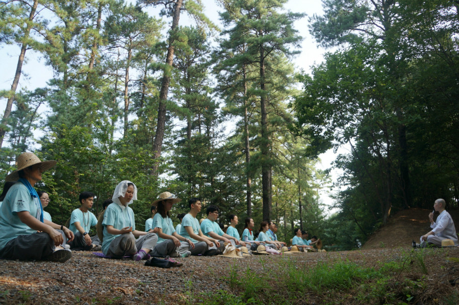 지난해 열린 봉선사 청년희망캠프 '붓다의 향기' 중 참가자들이 광릉 숲에서 명상하는 모습. 사진=봉선사