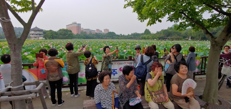 전주 덕진연못에 활짝 핀 연꽃을 배경으로 시민들과 신도들이 끊임없이 사진을 찍고 있다.