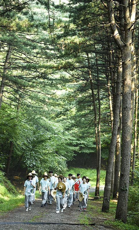 청년희망캠프 참가자들이 광릉숲길을 걷고 있다.