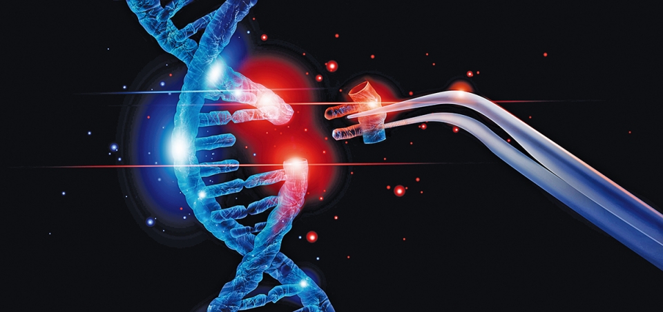 ‘크리스퍼’로 불리는 제3세대 유전자 가위 기술은 유전병 치료에 획기적 발전을 가져오고 있다. 교정하고자 하는 DNA가 있다면, 그 해당 부위를 표적 삼아 찾아내는 RNA와 그것을 잘라내는 가윗날 역할을 하는 인공 효소인 Cas9(CRISPR-associated protein 9)를 결합한 기술이다. 이전 1세대, 2세대 기술보다 정밀해졌을 뿐만 아니라 그 작업 시간과 비용도 훨씬 경제적이다.