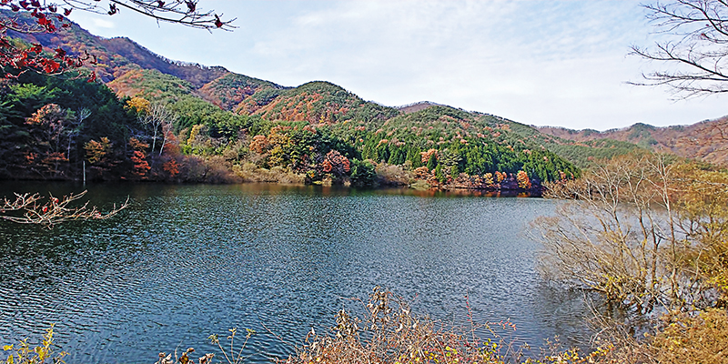용흥사 가는 길의 아름다움을 보여주는 호수.