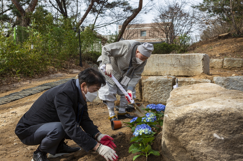 봉은사는 3월28일 코로나19 극복을 기원하는 ‘희망의 나무심기 행사’를 개최했다.