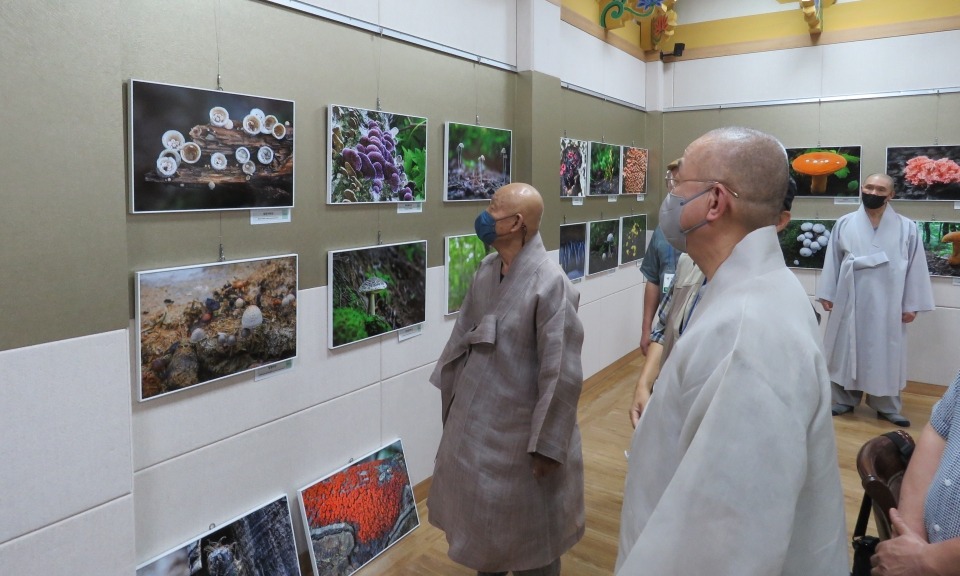 영축총림 통도사 방장 성파스님과 주지 현문스님이 영남알프스 야생버섯 사진전 작품을 둘러보고 있다.