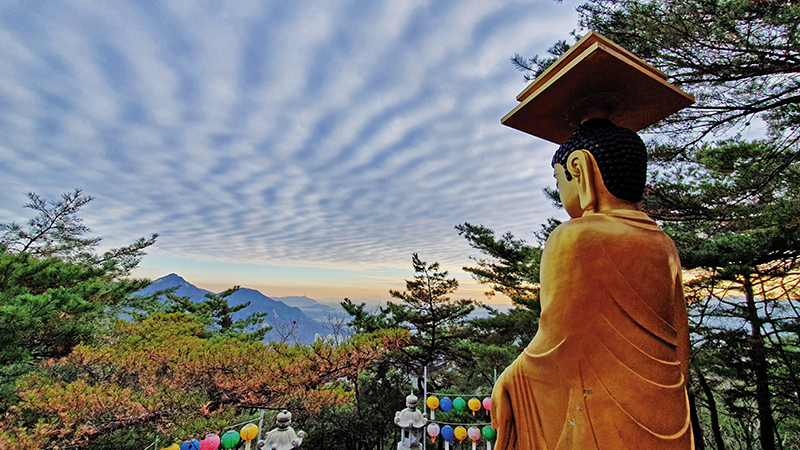 용굴암 미륵부처님이 노원벌과 멀리 서울을 바라보며 서있다. 산 아래는 아파트 촌이 들어섰다.