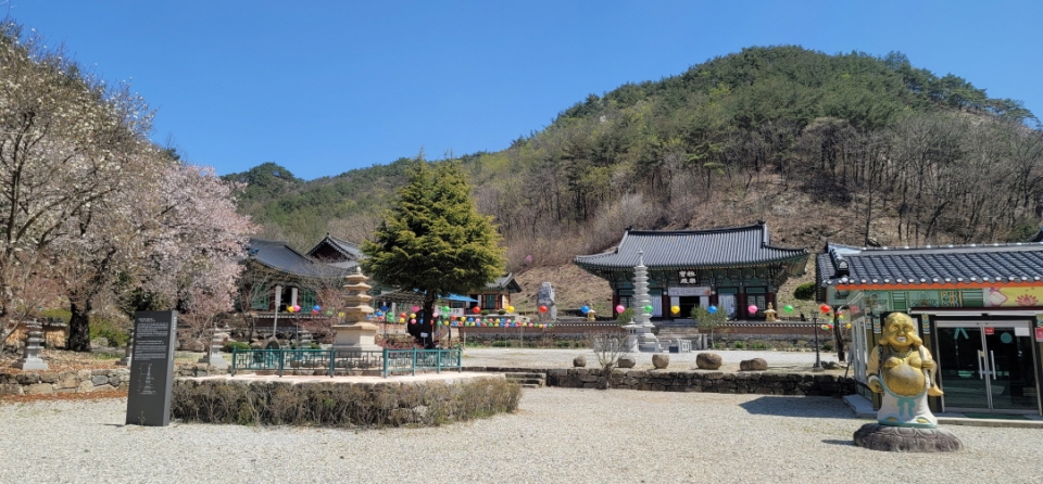 진안 마이산을 배경으로 자리잡은 금당사는 천혜의 자연경관과 수많은 문화재를 보유한 템플스테이 정식운영사찰로 출범했다.
