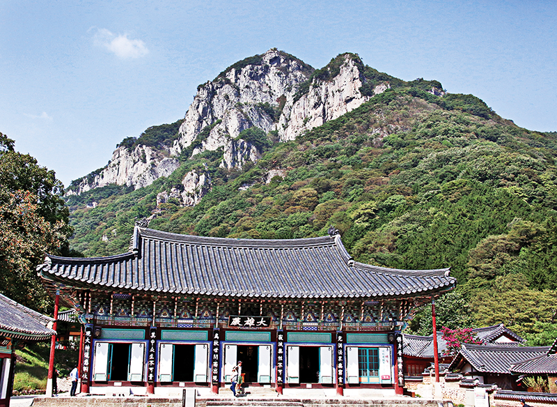 [죽기 전에 꼭 가봐야 할 사찰] 스님은 양처럼 몰려오고 꽃은 부처님으로 변신한 장성 백양사