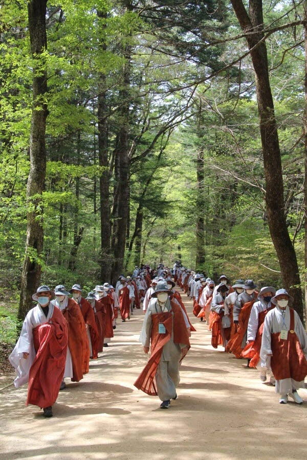 상월결사 월정사 평화 방생순례가 4월27일 월정사 일대에서 열렸다. 사부대중이 월정사 전나무 천년 숲길을 걷고 있는 모습.