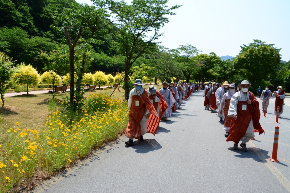 평화방생 순례단이 옐로우시티 장성의 노란 꽃밭옆을 지나고있다