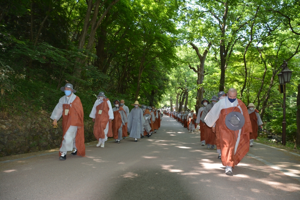 백양사 천년 숲길을 걷고있는 평화방생순례단.