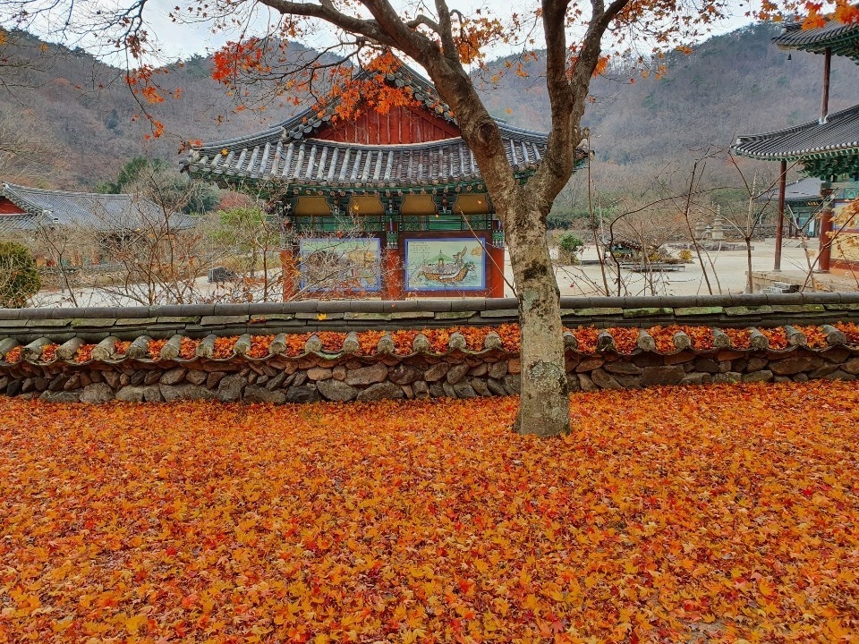 [일선스님의 ‘한주를 시작하며’] 해탈