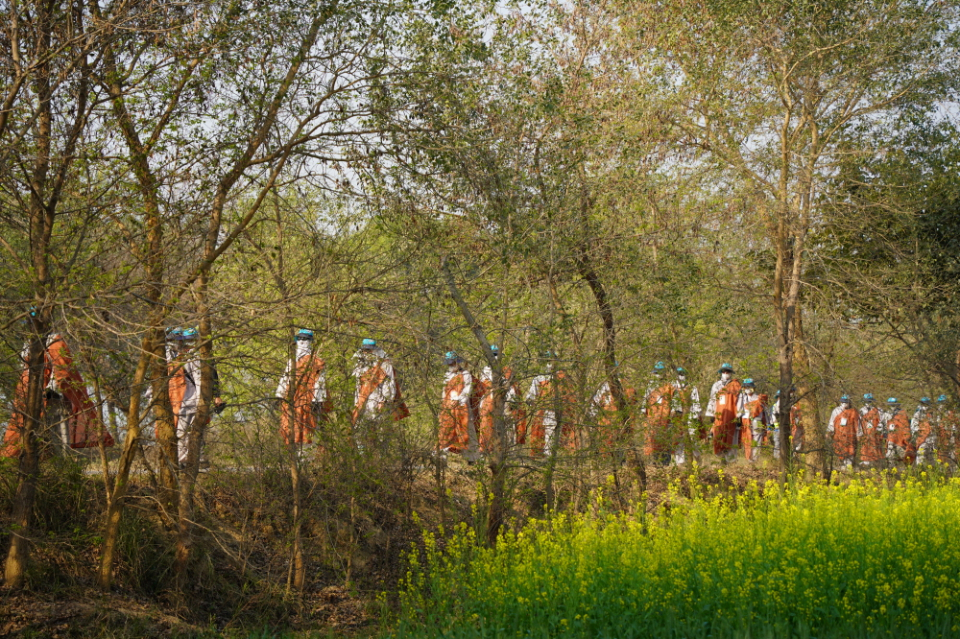 인적 드문 길을 걷는 순례단.