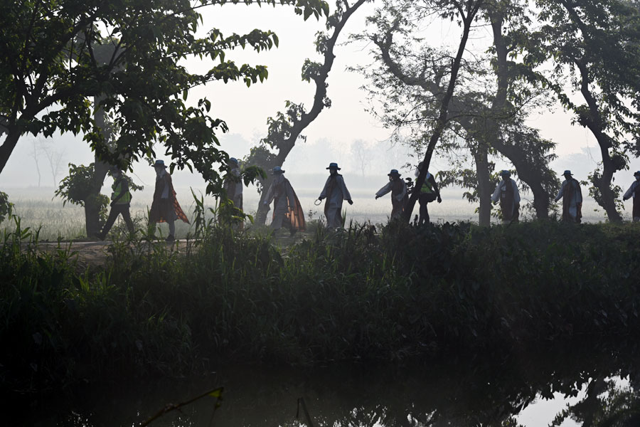 짙은 어둠을 뚫고 떠오르는 해를 안고 걷는 순례단.