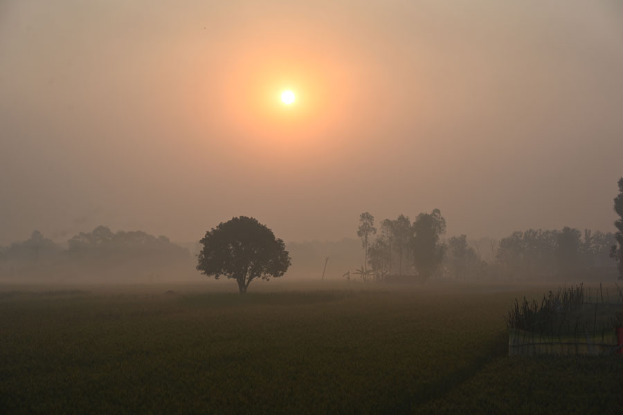 새벽 어둠 속에서 말없이 걷는 순례단은 희뿌연 새벽안개와 이를 뚫고 솟아오르는 태양으로 아침을 맞는다. 인도 북부 마하라즈간지 지역 시골의 아침 풍경.