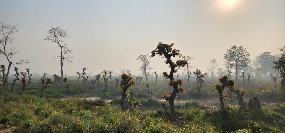 그동안 막혀 있던, 부처님께서 걸어가셨던 붓다로드를 처음으로 연  순례단 앞에 펼쳐진 아름다운 습지풍경