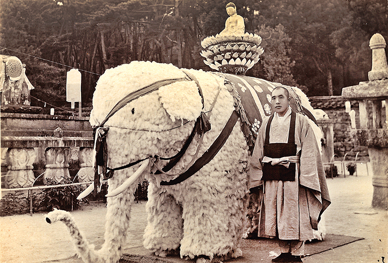 부처님을 등 위에 모신 흰코끼리 앞에서 월하대종사가 기념촬영을 했다.