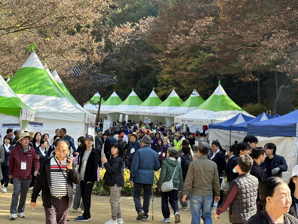 고운사를 가득 메운 인파