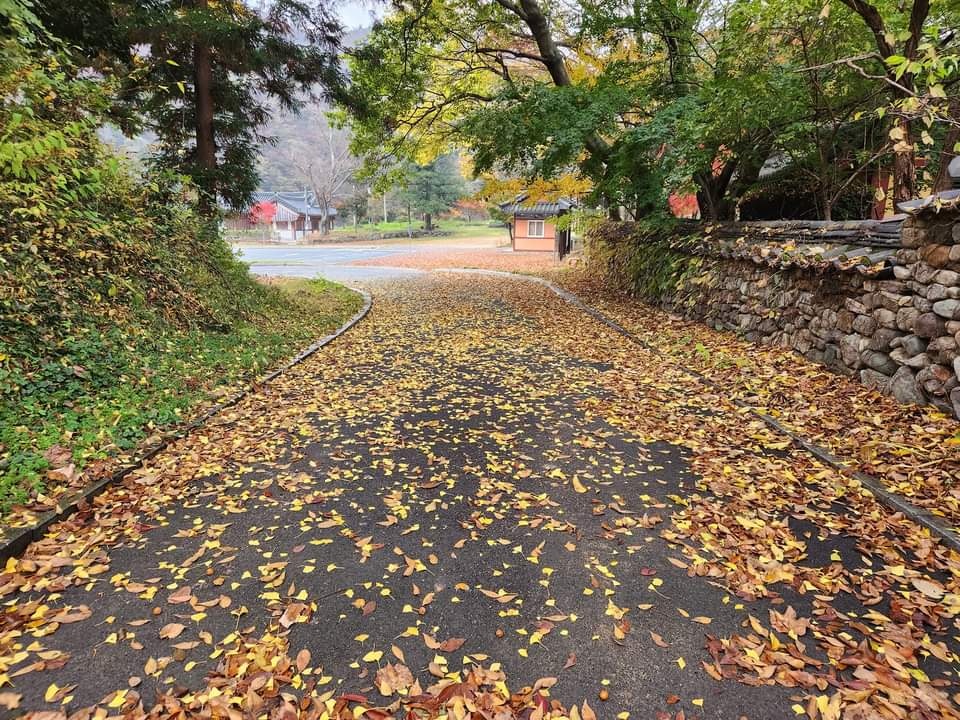 [일선스님의 '산사의 뜨락에서'] 해탈