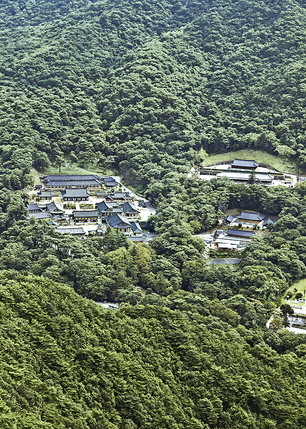 팔만대장경 품어온 영원한 곳집, 해인사