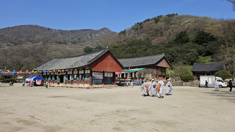 완연한 봄을 맞은 선운사는 동백, 벚꽃, 수선화 등 꽃과 봄새순의 향연이 펼쳐지며 사람들을 부르고 있다.