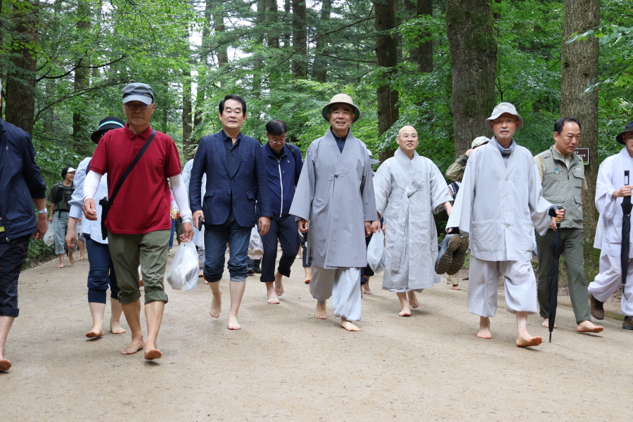 스님과 함께 전나무숲길을 걷는 참가자들. 사진 왼쪽에서 두번째는 박진오 강원일보 사장. 