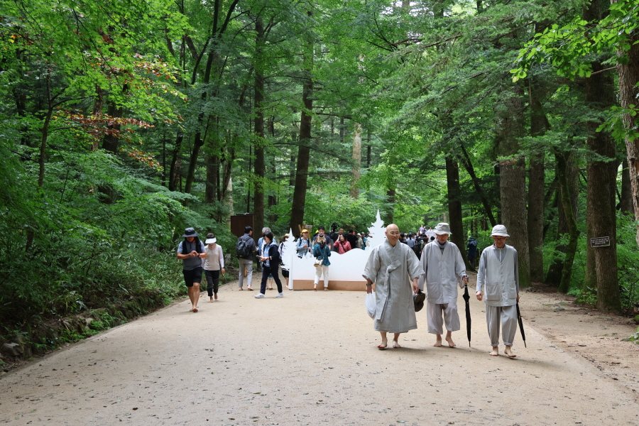 월정사 스님들도 걷기에 함께 했다.