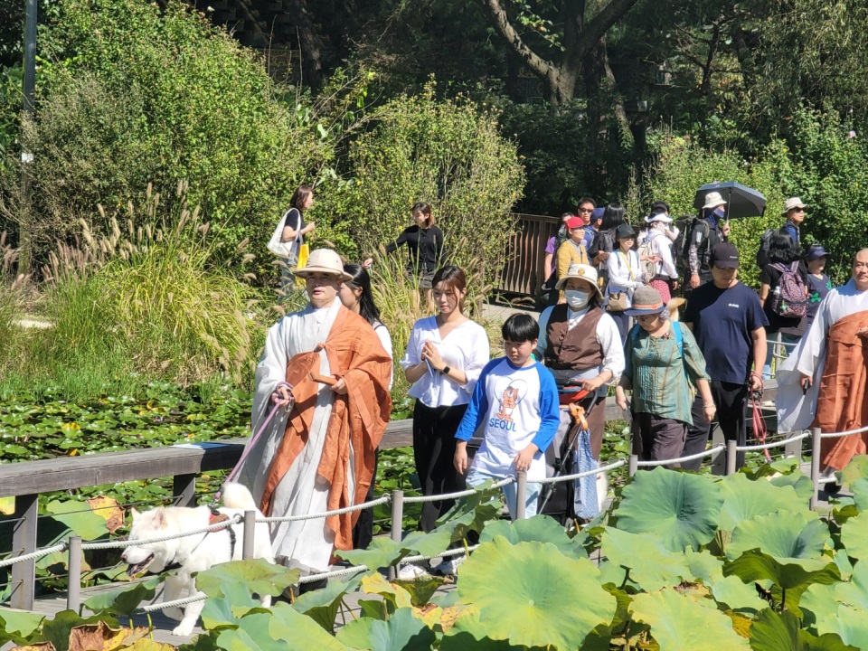 9월29일 봉선사 연밭에서 진행된 '반려견과 함게 하는 걷기명상'에서 호산스님이 대중들을 이끌고 있다.