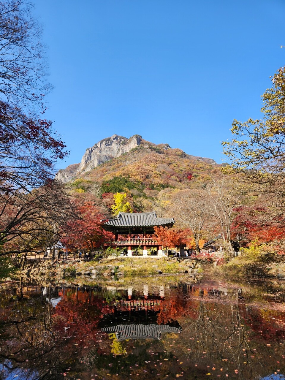 오색빛깔 가을단풍이 곱게 물든 장성 백양사에서 '나는 절로' 가을 특집편이 11월2일부터 3일까지 열린다. 