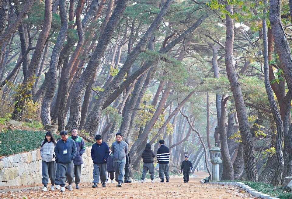 템플스테이에 참여한 한국세계유산도시협의회 실무자들이 통도사 ‘무풍한송로’를 걷고 있다.