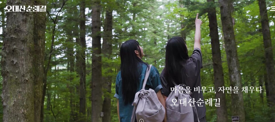 월정사와 국립공원공단이 오대산에 치유와 문화의 순례길을 연다. 사진은 오대산 순례길 홈페이지.