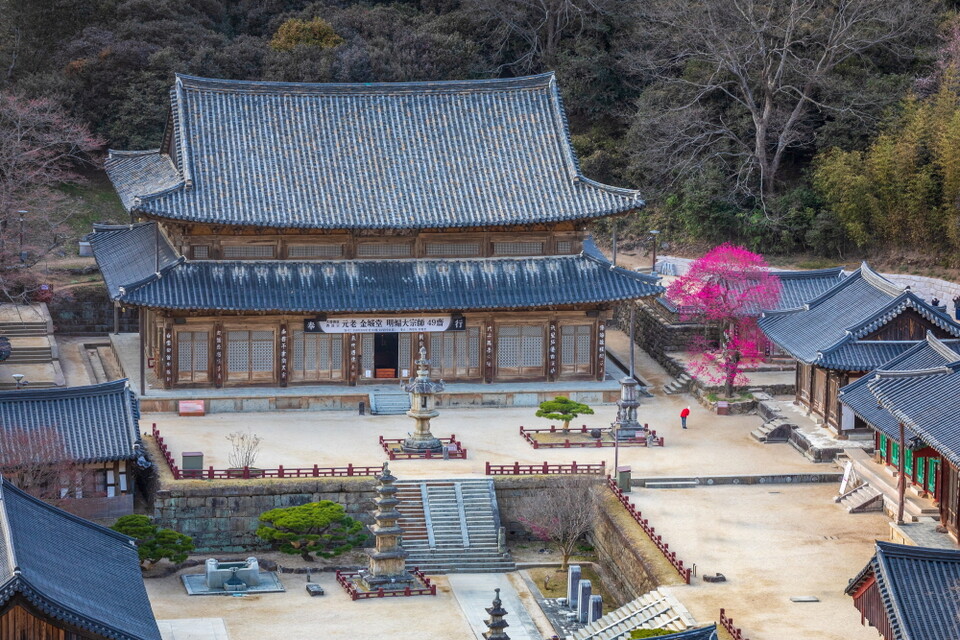 ��Ȳ���� ȭ����, ȭ���� ����