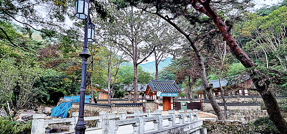 템플스테이관 구역.