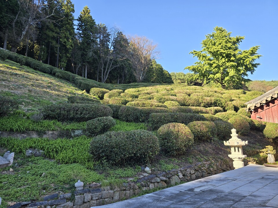 ȿ�罺���� �ټֻ翡 ������ ������.