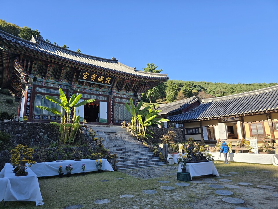 �ټֻ� ����.