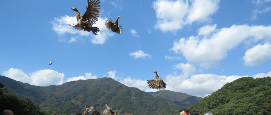 �ְ�簡 ���������� ���չ�����ȸ������ �� 300������ �ڿ��� ǰ���� ���������� �����Ӱ� �ູ�� ���� ����ߴ�.