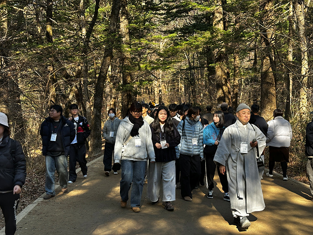 전나무 숲에서 명상 산책을 하는 모습.