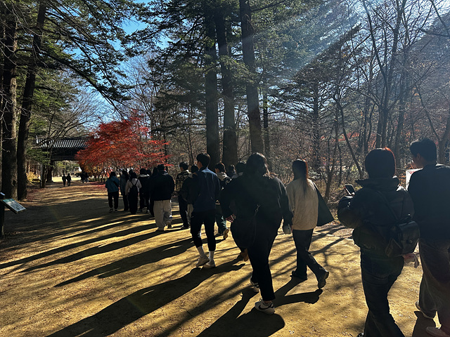 전나무 숲에서 명상 산책을 하는 모습.