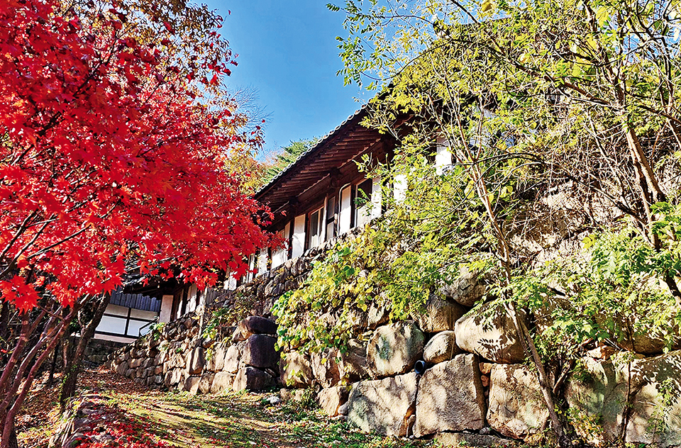 단풍이 아름다운 템픐스테이관