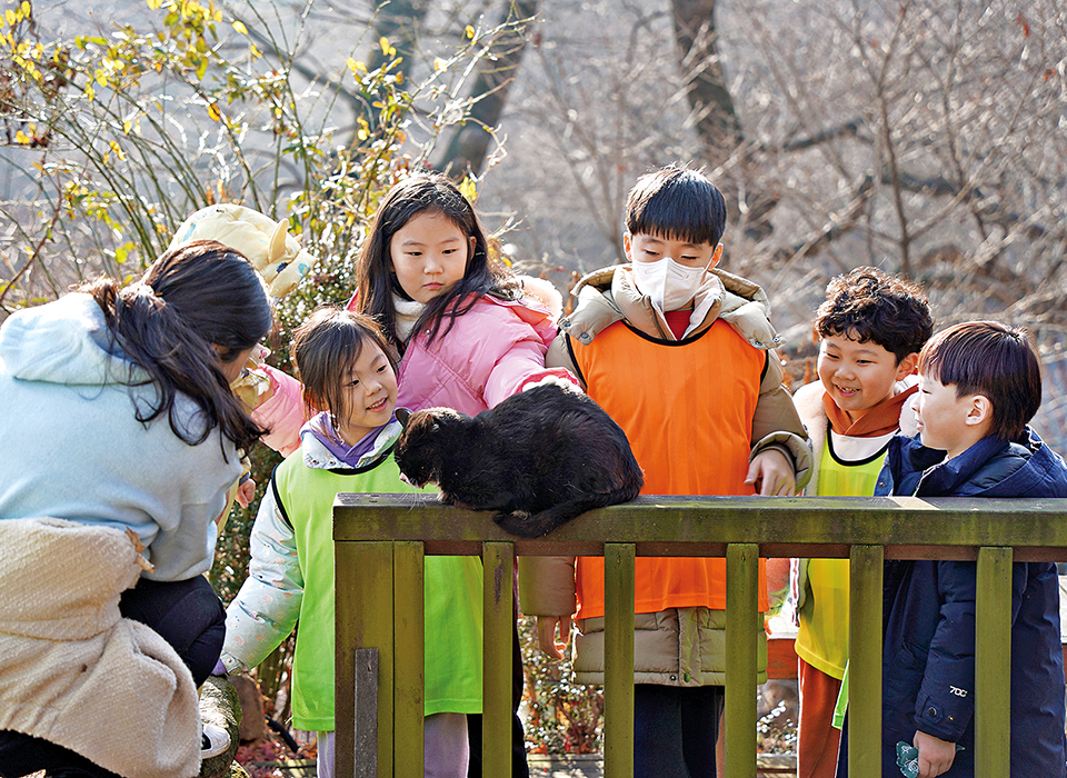 선재학교 아이들은 전등사에서 자연을 만끽하며 성장한다. 이날은 고양이가 친구가 됐다.
