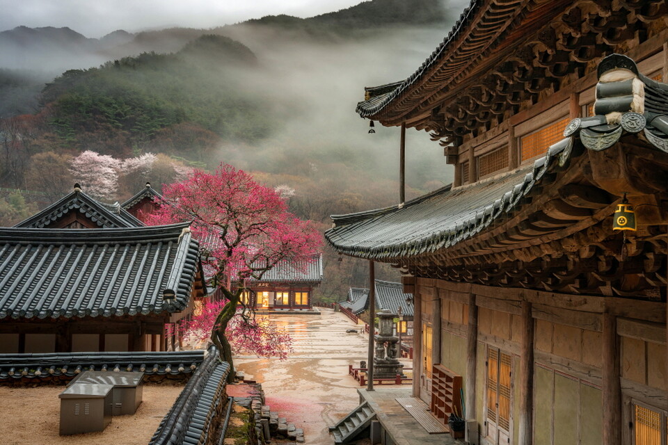 ȭ���� ȫ��ȭ �������׽�Ʈ 2025�� ������