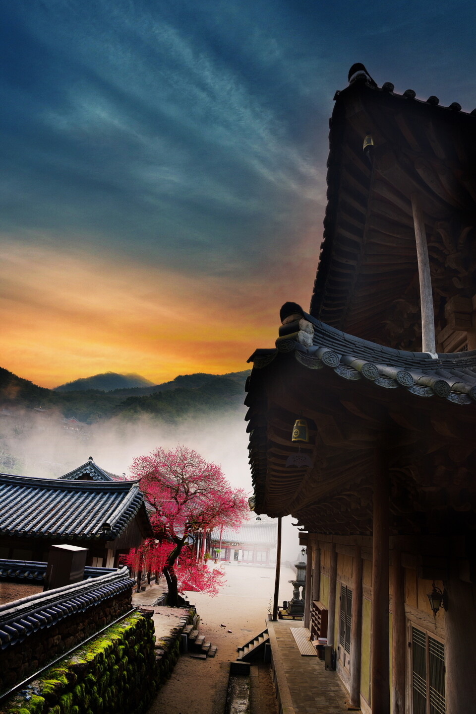 ȭ���� ȫ��ȭ �������׽�Ʈ ������(2025��)