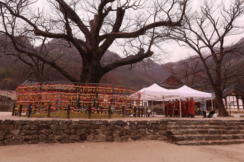 �ξ� ���һ� ������ ������� ���� ������ ��� �泻 �ҸӴ� ��� �տ��� ������ �ִ�.