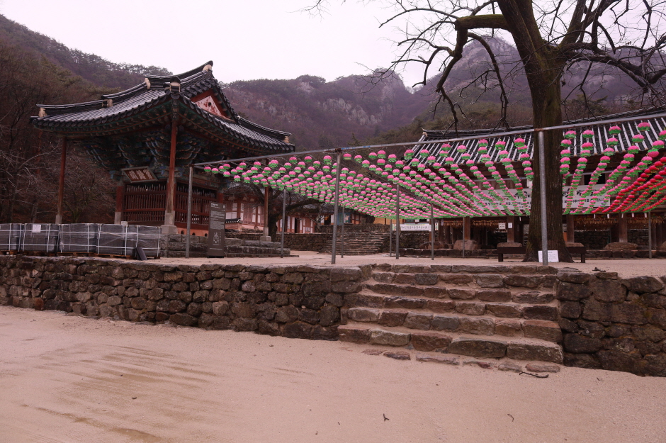 �ҸӴ� ��� ���� ���� ���� ������ �ɹ�ó�� �����ϰ� �ڸ���� �ִ�.