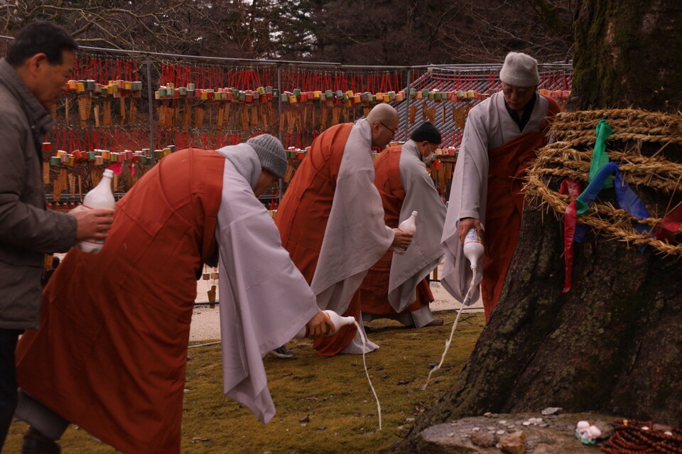 ���Ե�� ����� ����ȸ�� ���� ��곪�� �Ʒ��� ���ɸ��� �ξ��ְ� �ִ�.