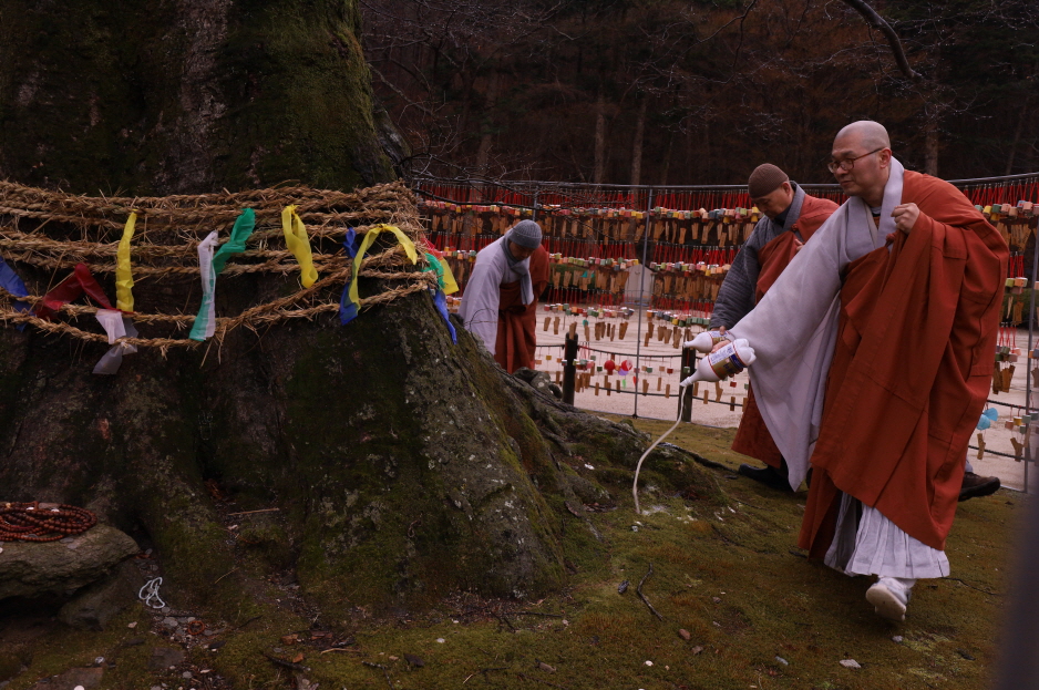 ��ż��� �ִ� ���ɸ��� �ڱص� �ְ� ����е� �־� ������ ������ �ȴٰ� �Ѵ�.