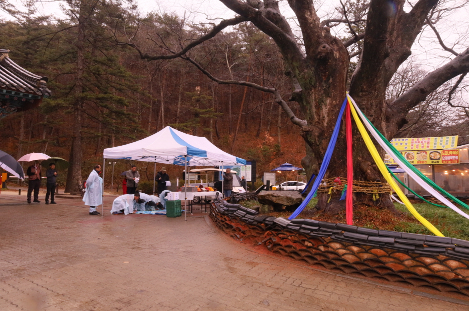 �� ������ ����� ��������� ������� �޾���.