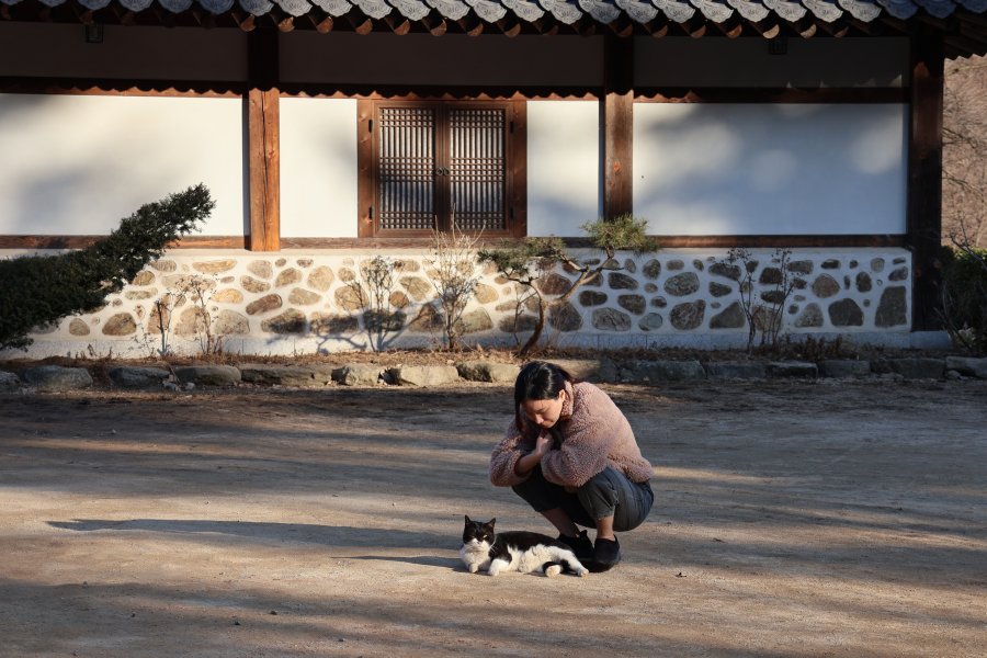 고양이와의 망중한.