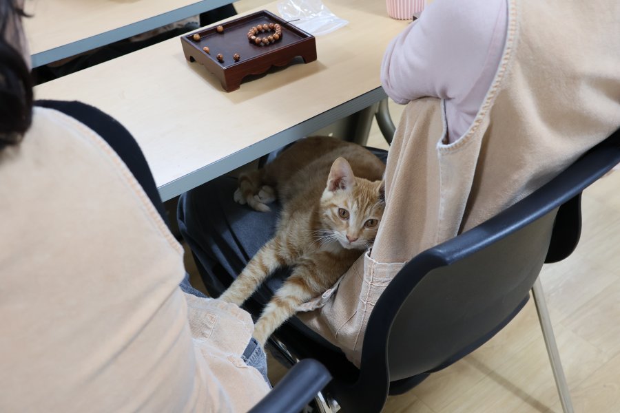 염주 만들기 시간에도 함께.