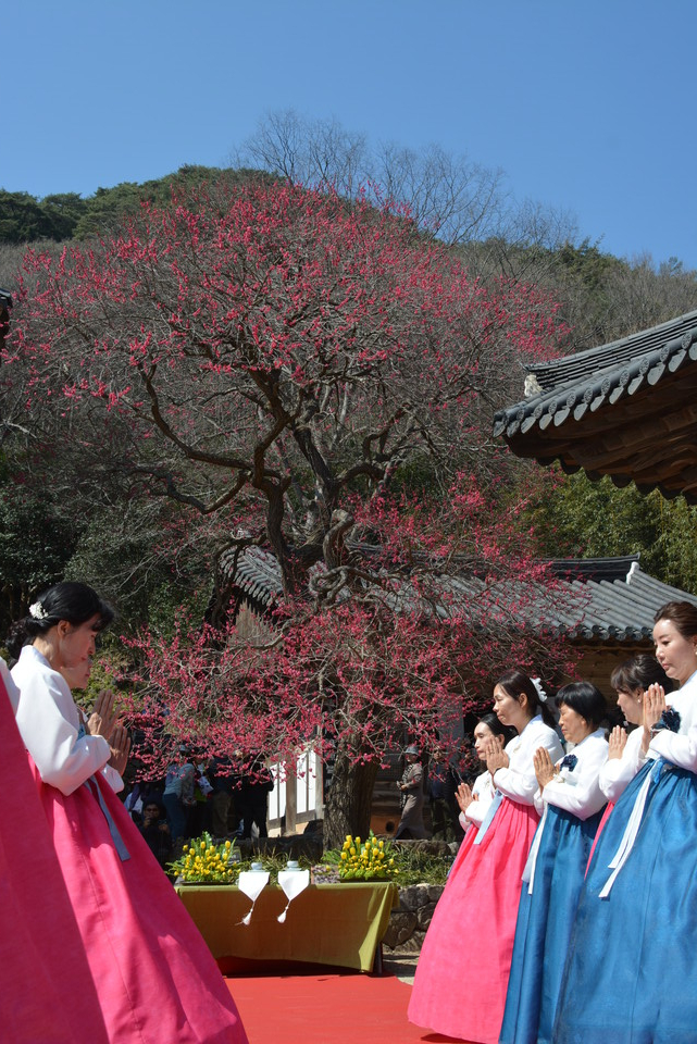 ȭ���� ����ȸ ���